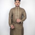 Golden Brown Embroidered Punjabi